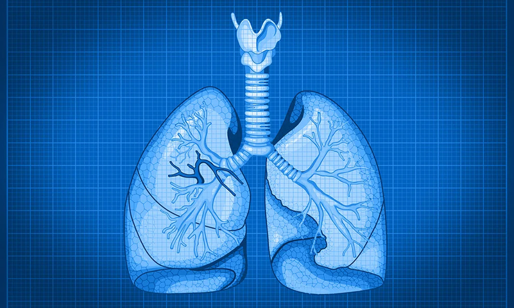 Lungs Problem and Heart Fail – the connection | impact | difference