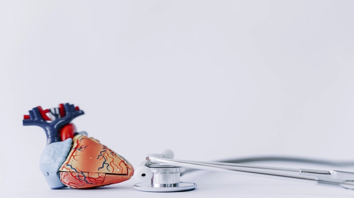 Everything about Cardiac Pacemakers